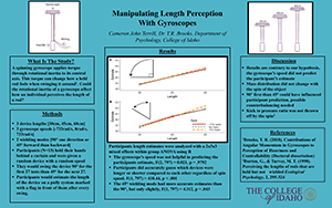 Manipulating Length Perception With Gyroscopes